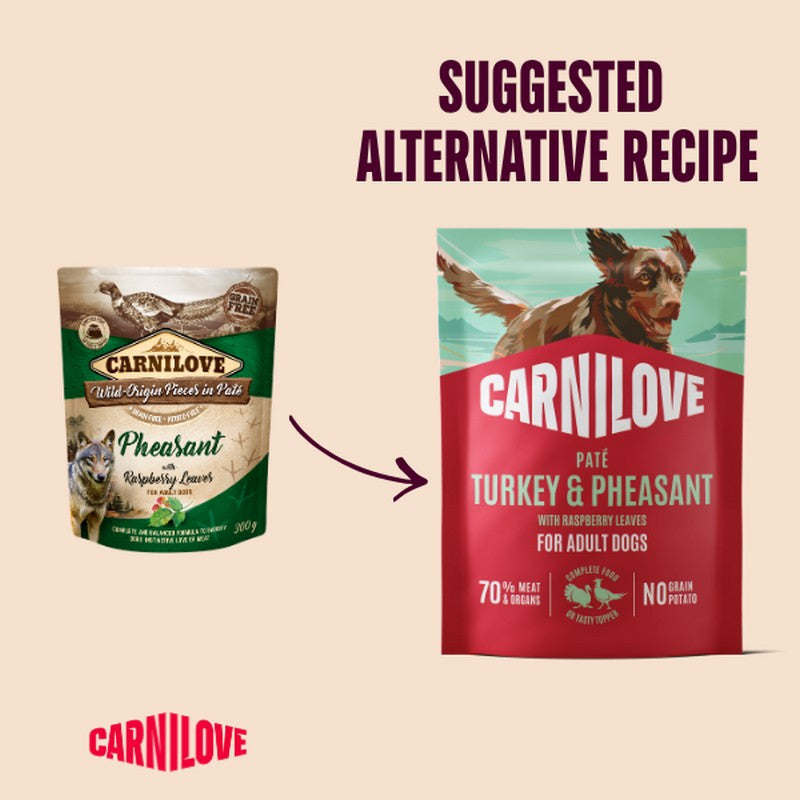 Carnilove Turkey & Pheasant with Raspberry Leaves Complete Wet Dog Food Pouch 300g