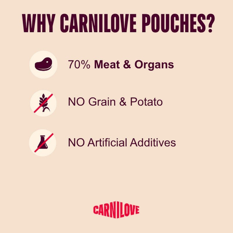 Carnilove Turkey & Wild Boar with Rosehips Complete Wet Dog Food Pouch 300g