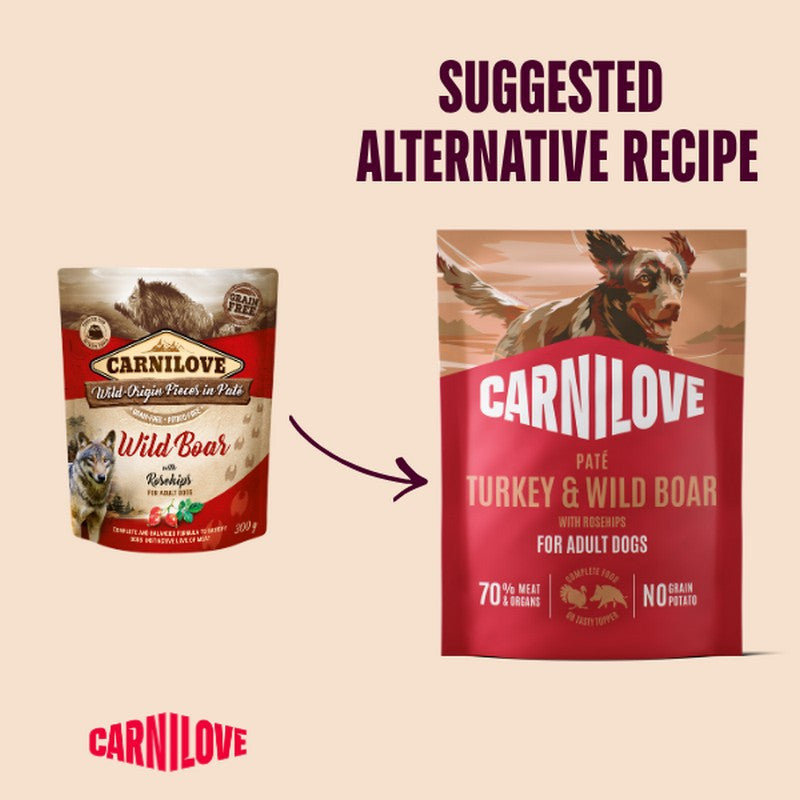 Carnilove Turkey & Wild Boar with Rosehips Complete Wet Dog Food Pouch 300g