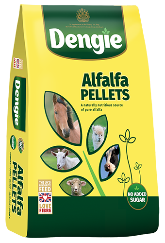 Dengie Alfalfa Pellets, 20kg bag of pure alfalfa pellets