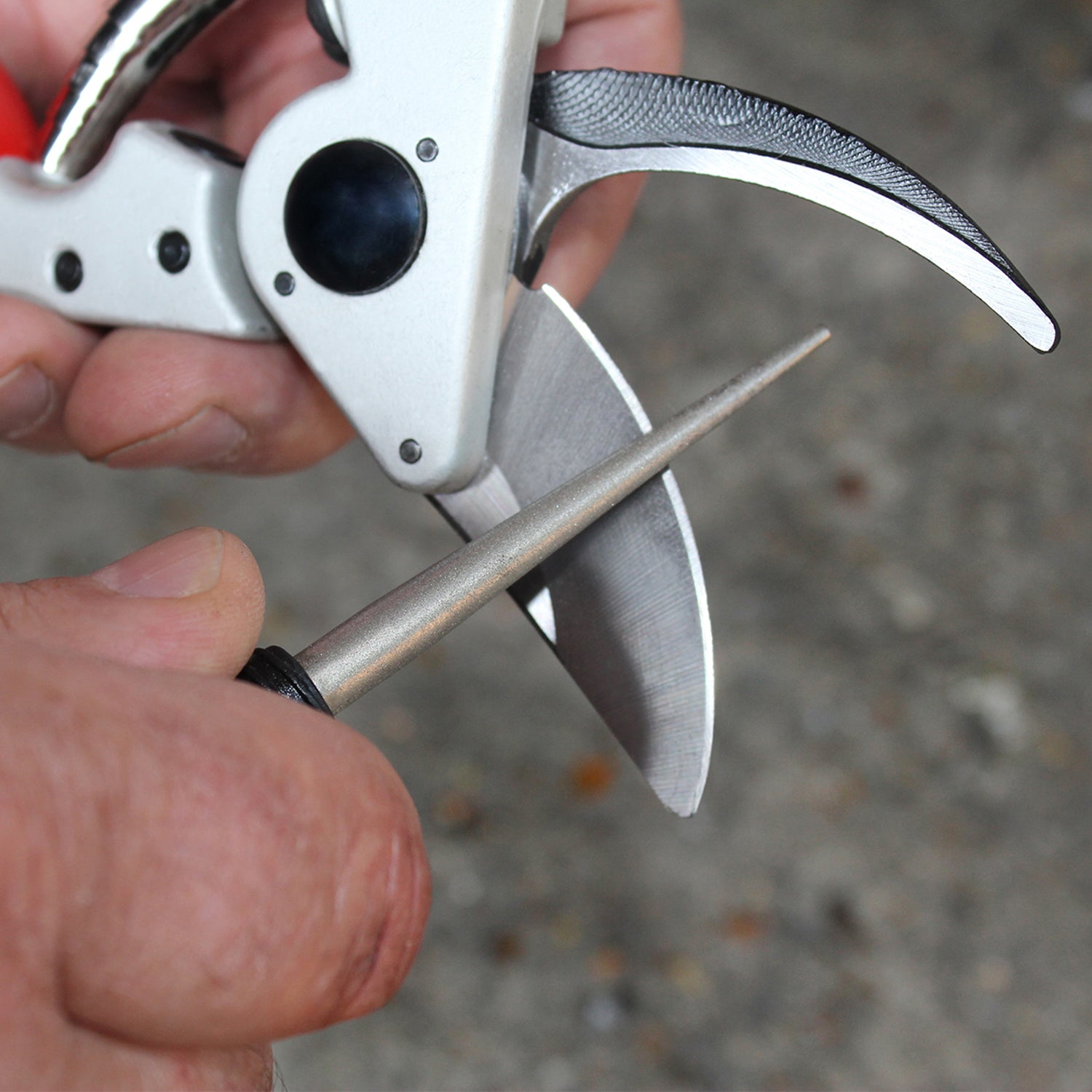 Darlac Tungsten & Diamond Sharpener