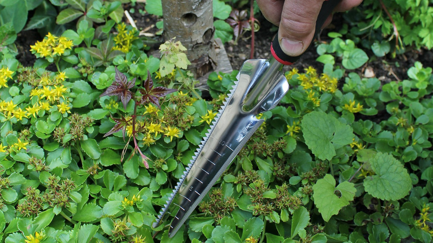 Darlac Stainless Steel 5 in 1 Trowel