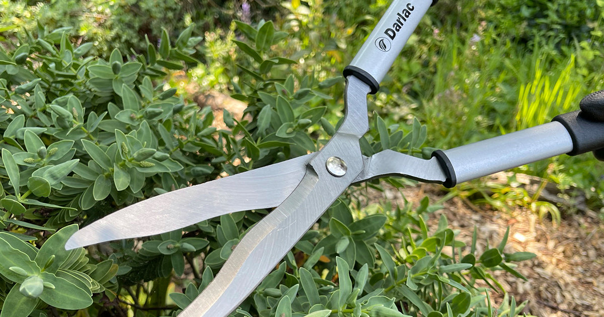 Darlac Lightweight Shear