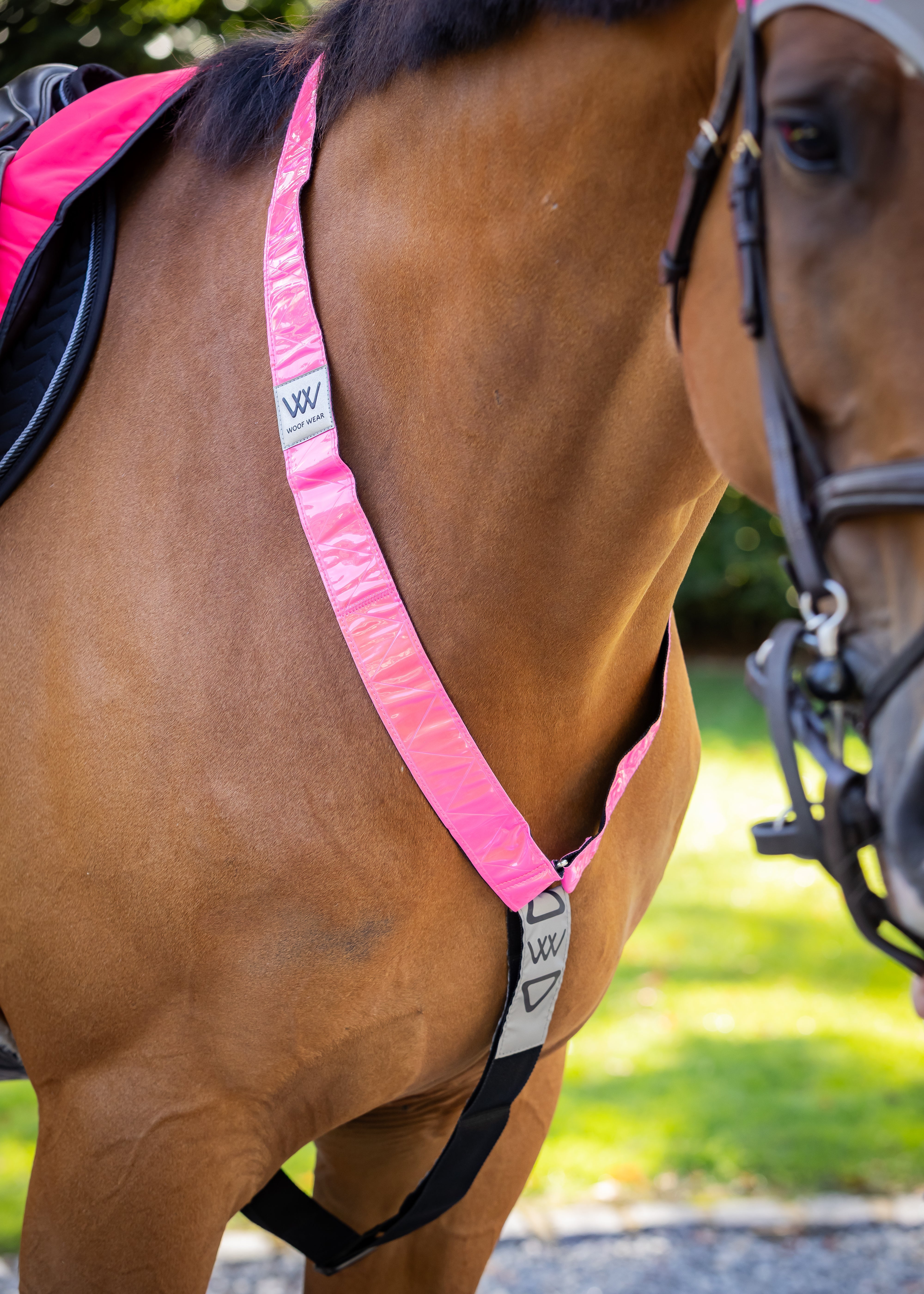 Woof Wear Hi Viz Neck Band in pink fitted to a horse