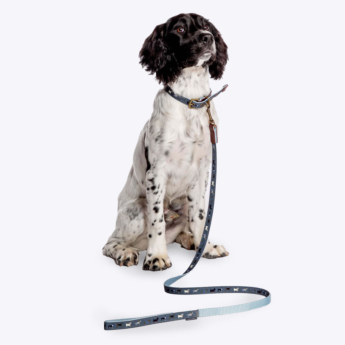 Danish Design FatFace Marching Dog Lead