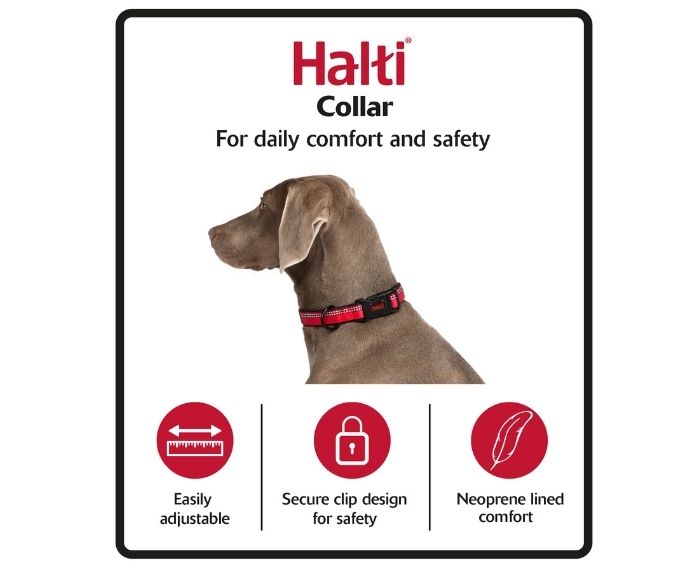 Company of Animals Halti Comfort Collar Red