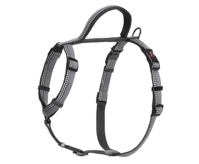 Company of Animals Halti Walking Harness Black