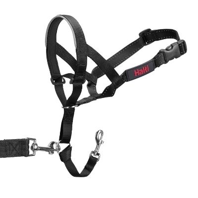 Company of Animals Halti Headcollar Black