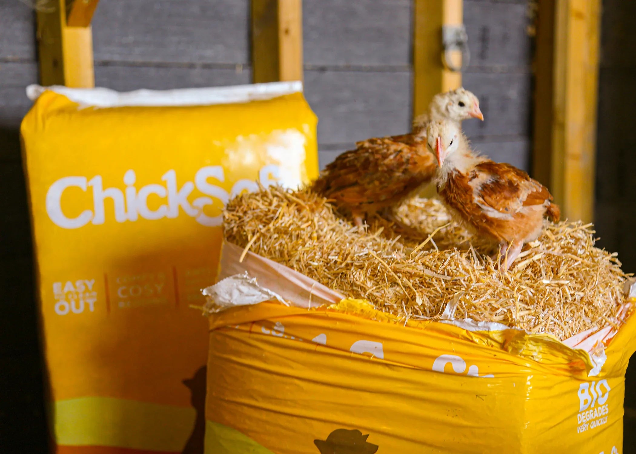 Chicksoft Poultry Bedding – Premium Soft Wheat Straw Bedding for Healthy, Comfortable Chickens 16kg