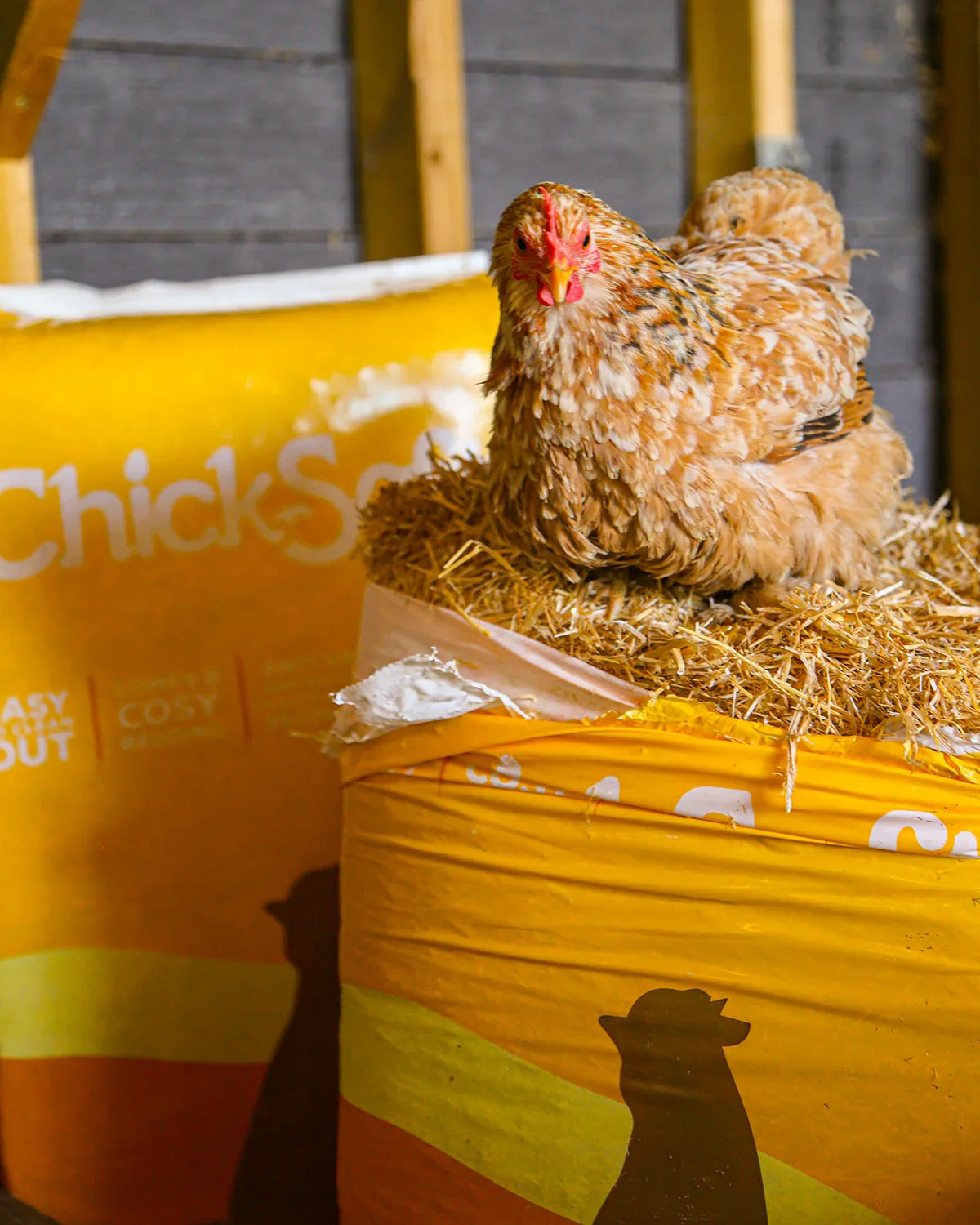 Chicksoft Poultry Bedding – Premium Soft Wheat Straw Bedding for Healthy, Comfortable Chickens 16kg