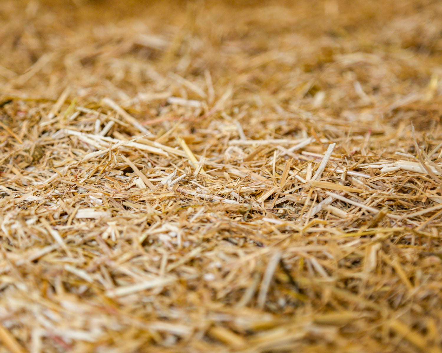 Chicksoft Poultry Bedding – Premium Soft Wheat Straw Bedding for Healthy, Comfortable Chickens 16kg