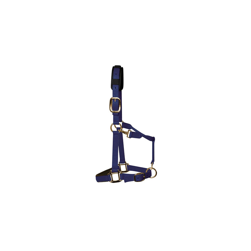 KM Elite HeadCollar Navy - XXS/Colt