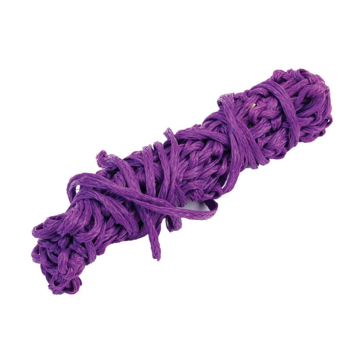 Equilibrium Munch Net in purple