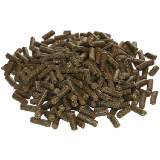 Simple System Lucie Mints peppermint and lucerne horse treats