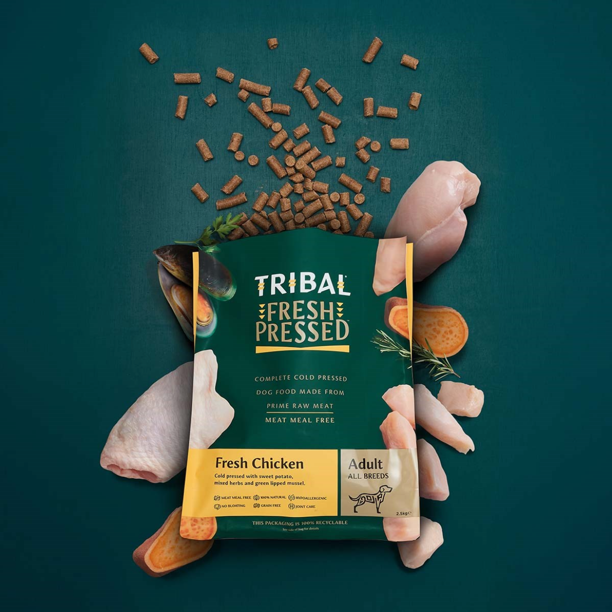 Tribal Adult Chicken 2.5kg
