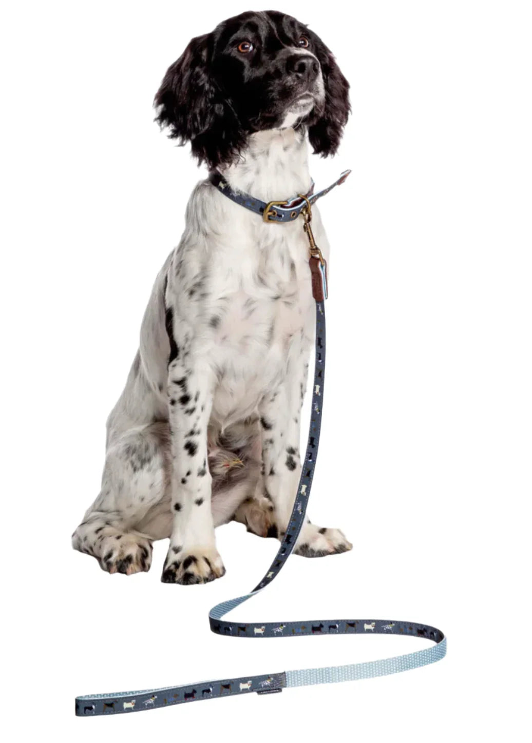 Danish Design Fatface Marching Dog Lead