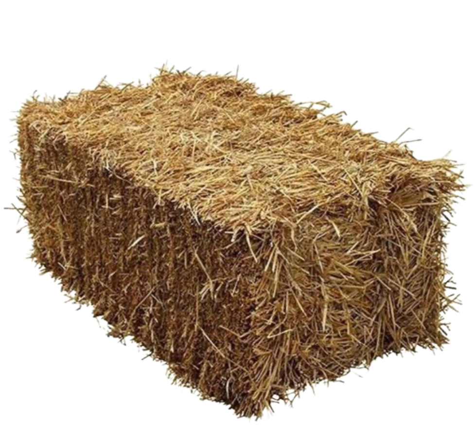 STRAW BALE - Animall