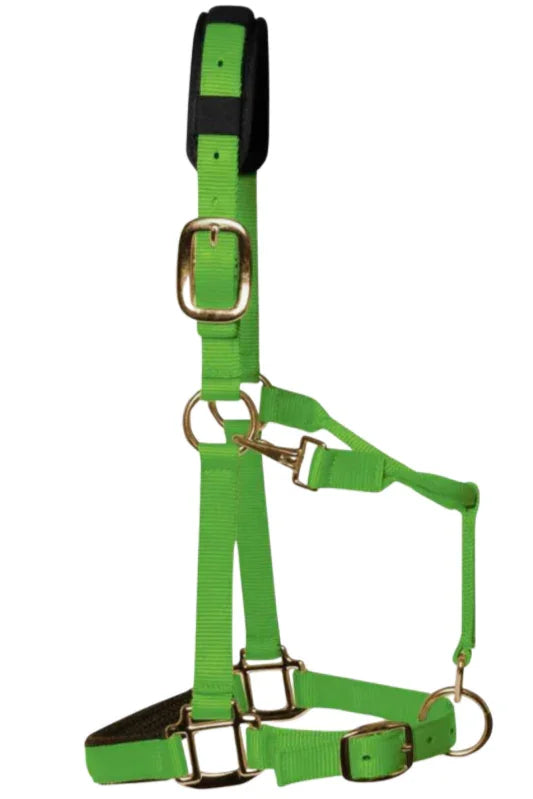 KM Elite HeadCollar Hot Green - Pony