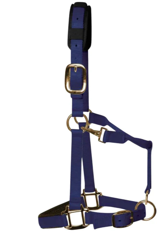 KM Elite Headcollar Navy Blue - Small