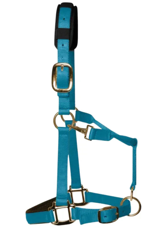 KM Elite HeadCollar Pastel Blue - XXS/Colt