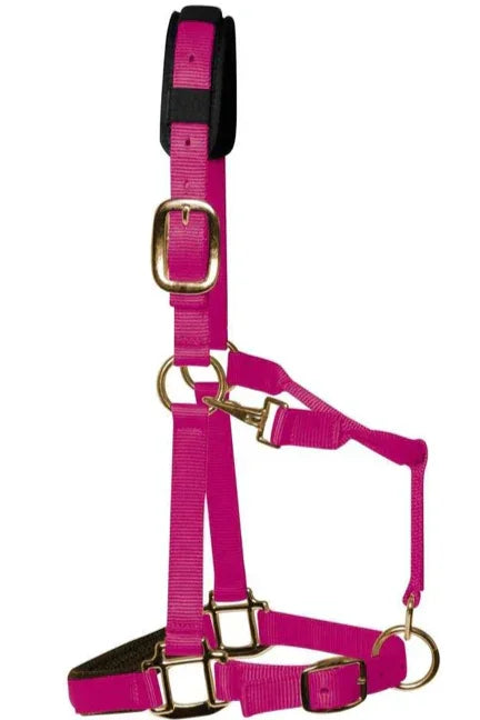KM Elite HeadCollar Raspberry - Pony