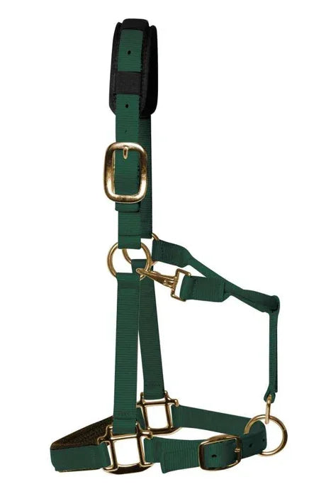 KM Elite Luxury Padded Head Collar Hunter Green- Medium