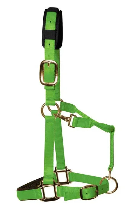 KM Elite Luxury Padded Headcollar Lime Green - Medium