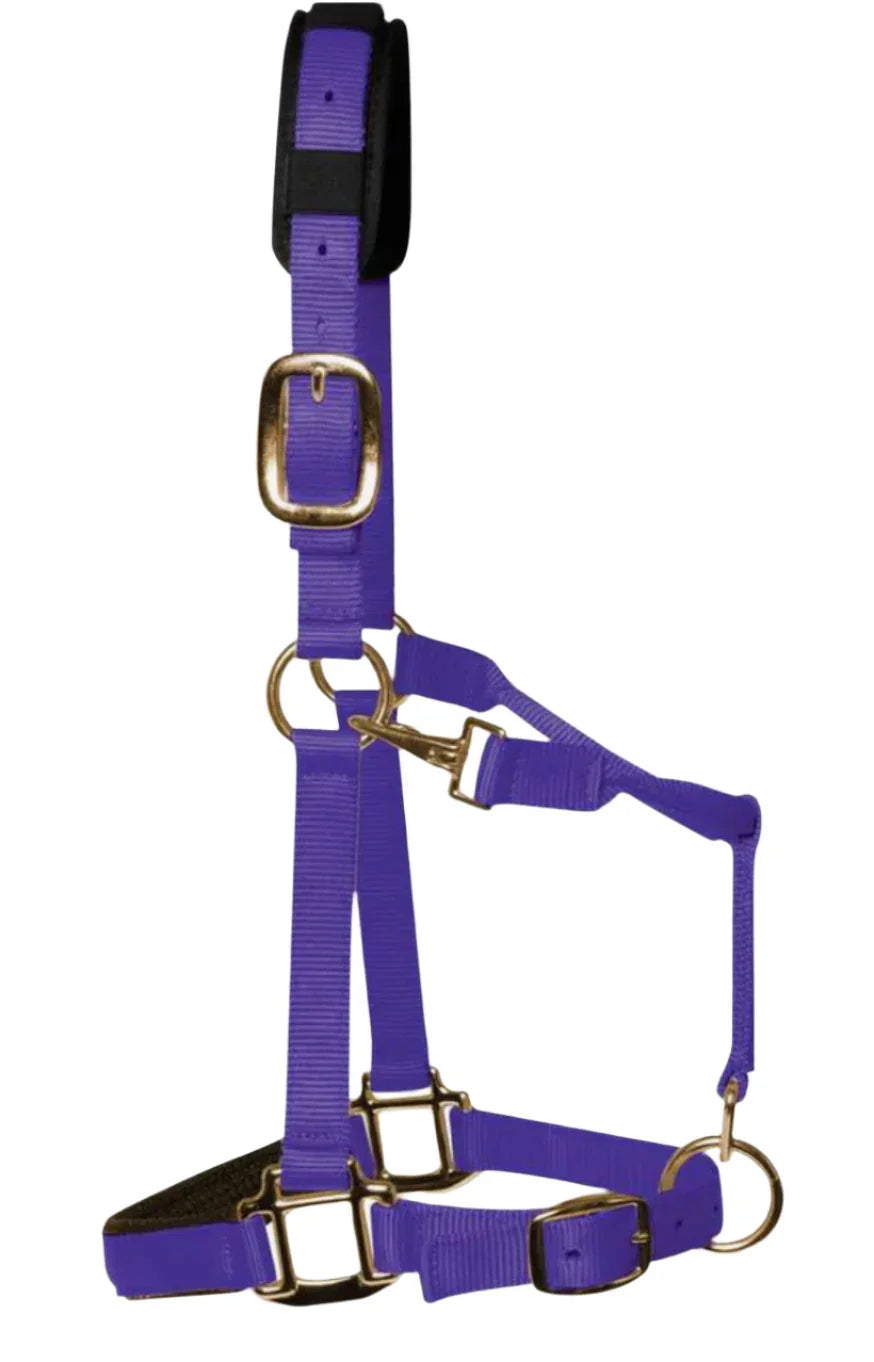 KM Elite Luxury Padded Headcollar Purple - Medium