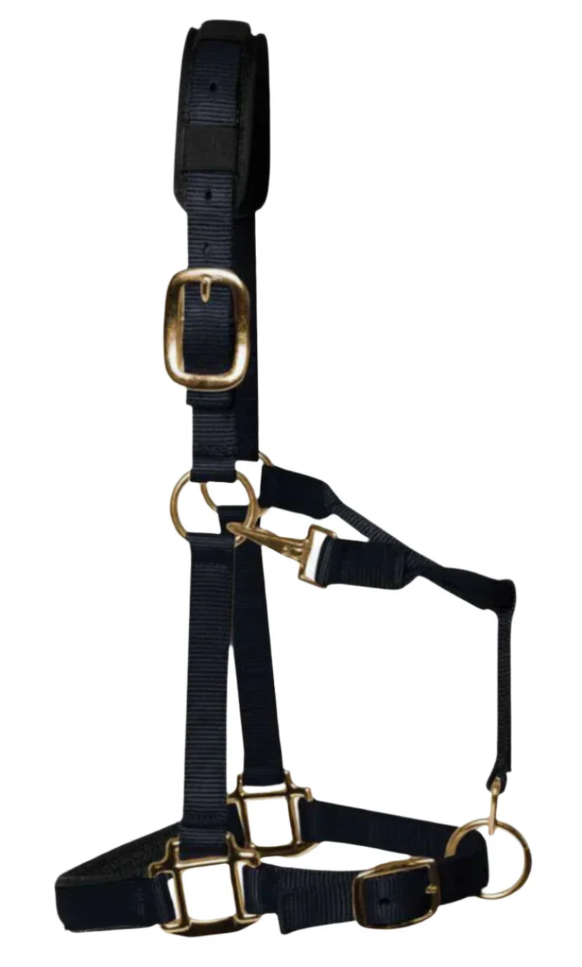 KM Elite Luxury Padded Headcollar: Black: Colt (XXS)