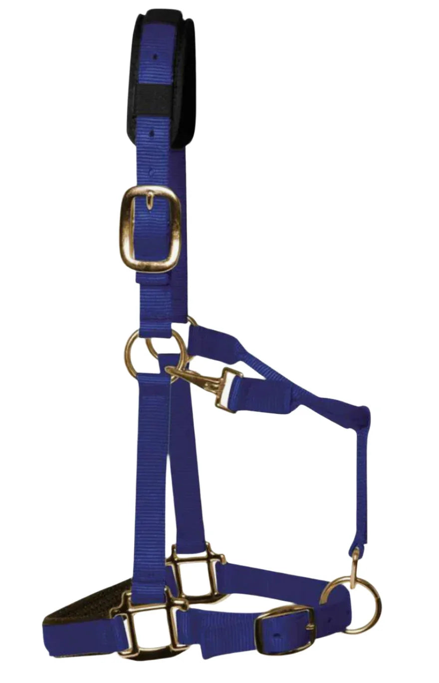 KM Elite Luxury Padded Headcollar Royal Blue - Small (Large Pony)