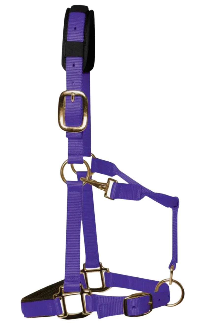 KM Elite Headcollar Purple Small