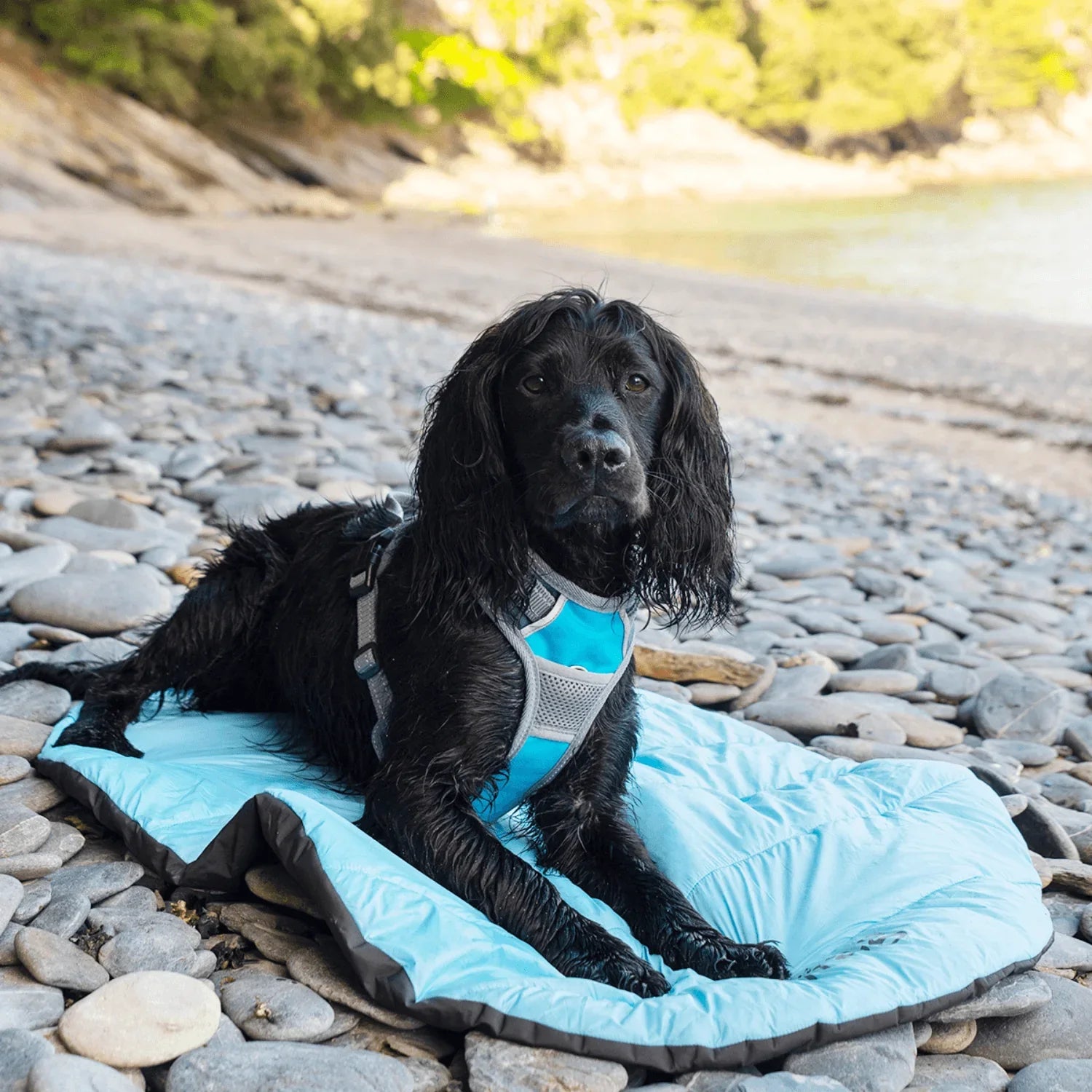 Henry Wag Alpine Travel Snuggle Bed