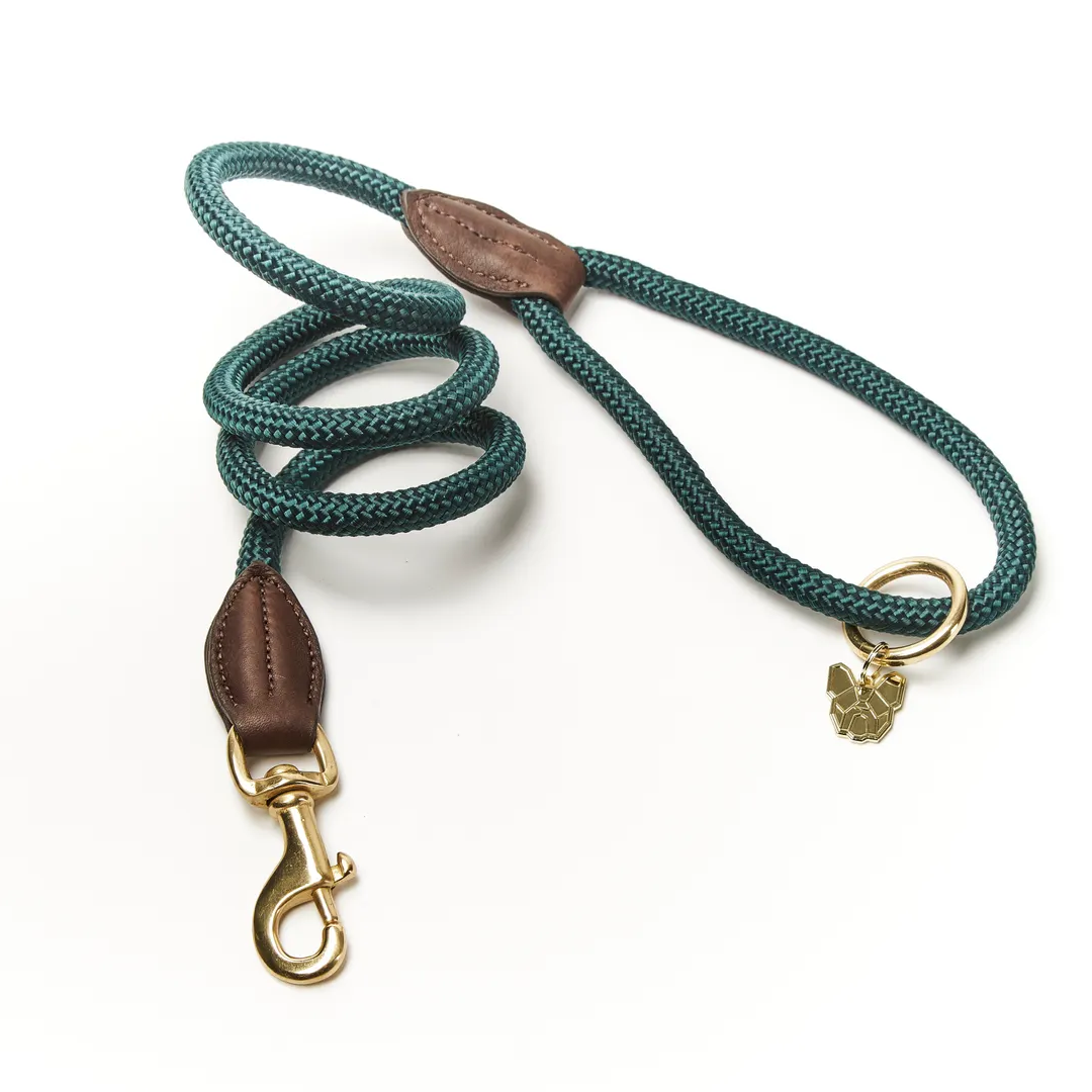 Digby & Fox Fine Rope Dog Lead Green