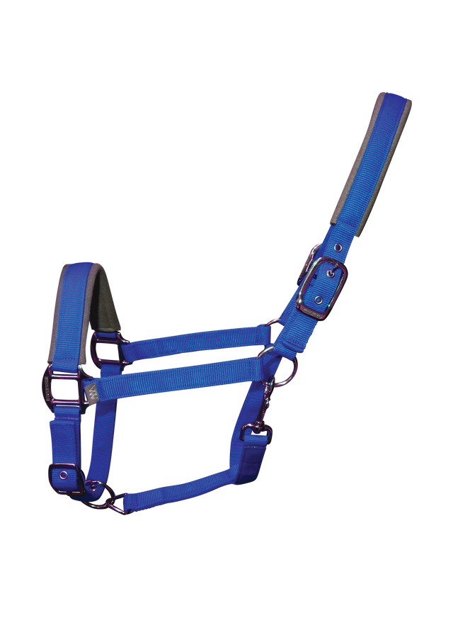 Woof Wear Contour Head Collar – Electric Blue - Animall