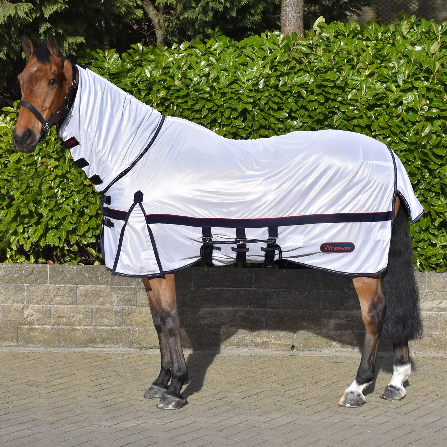 Whitaker R202 Rastrick Fly Mesh rug with fixed hood in white