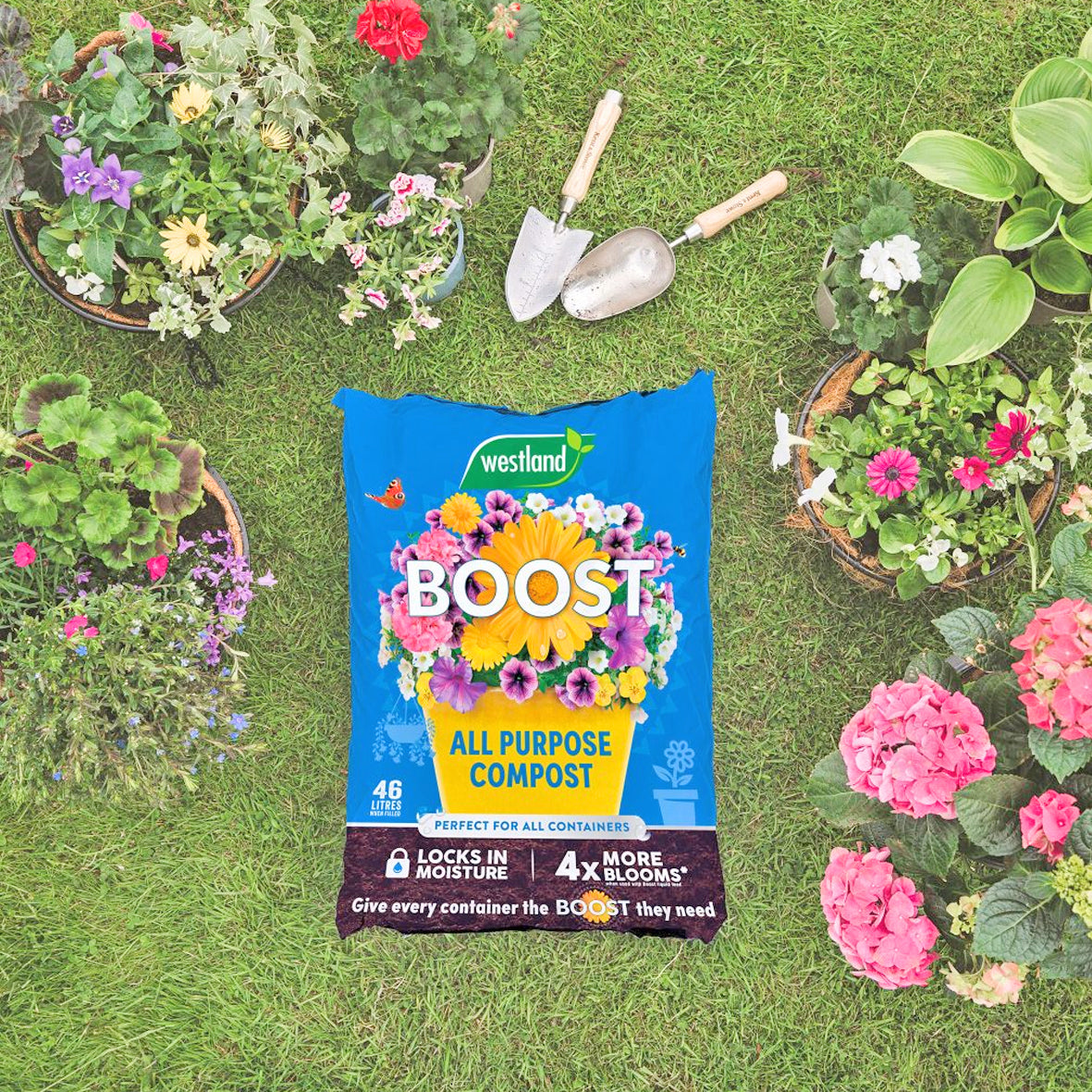 Westland Boost All Purpose Container Compost – 46L