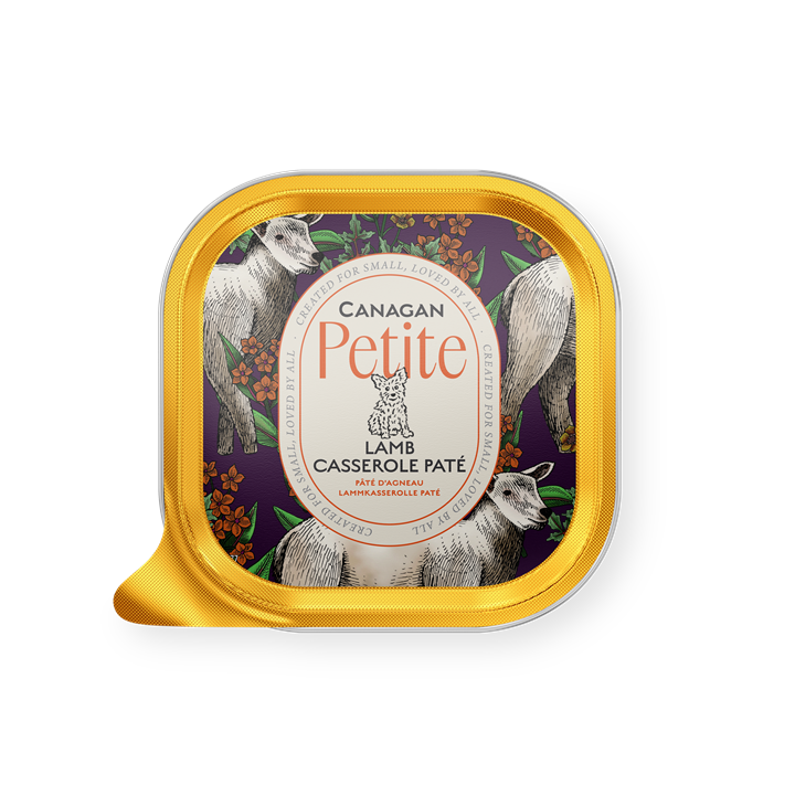 Canagan Petite Lamb Casserole Paté 100g for Small Dogs