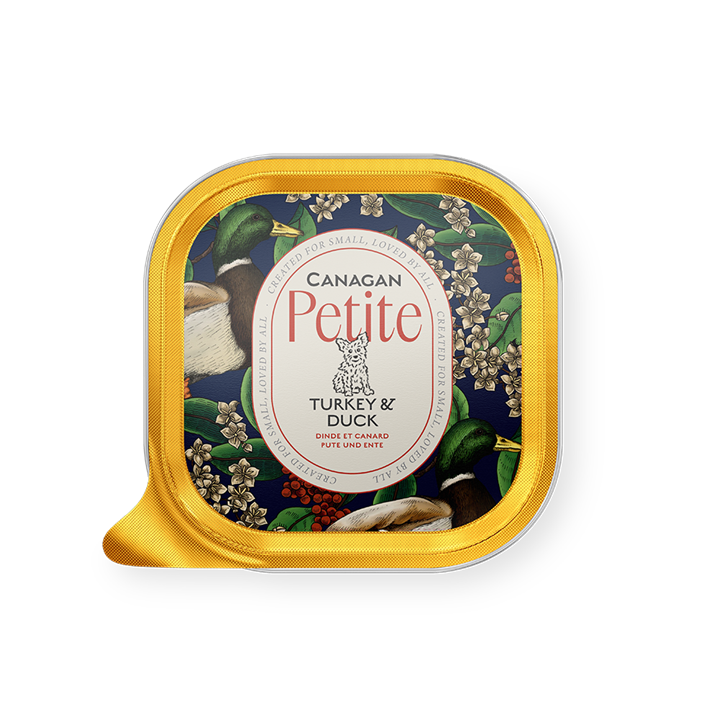 Canagan Petite Turkey with Duck Paté 100g for Small Dogs