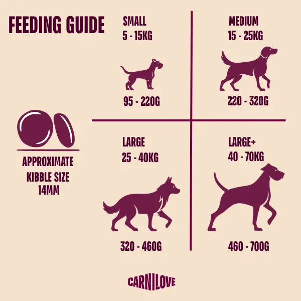 Carnilove Active Lamb & Wild Boar Grain-Free Dry Dog Food for Adult Dogs 1.5kg