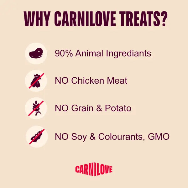 Carnilove Lamb & Salmon Fillet Grain-Free Jerky Dog Treats for Adult Dogs 100g
