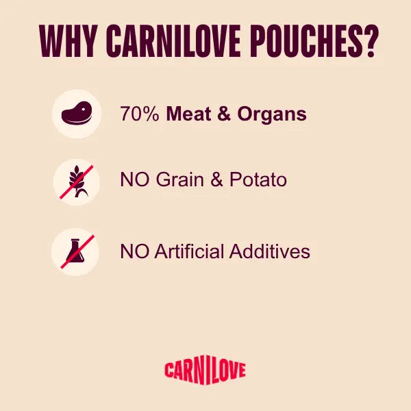 Carnilove Turkey & Venison with Strawberry Leaves Complete Wet Dog Food Pouch 300g