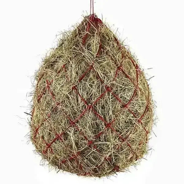 Elico Bodmin Haynet 42 inch Purple