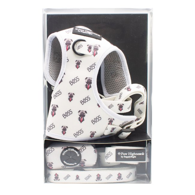 Paw Highness Doggy Walk Bundle – Boss Dog, XS, Matching Dog Walking Set