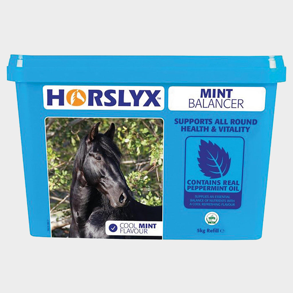Horslyx Mint Balancer – 15kg Tub | Refreshing Horse & Pony Lick