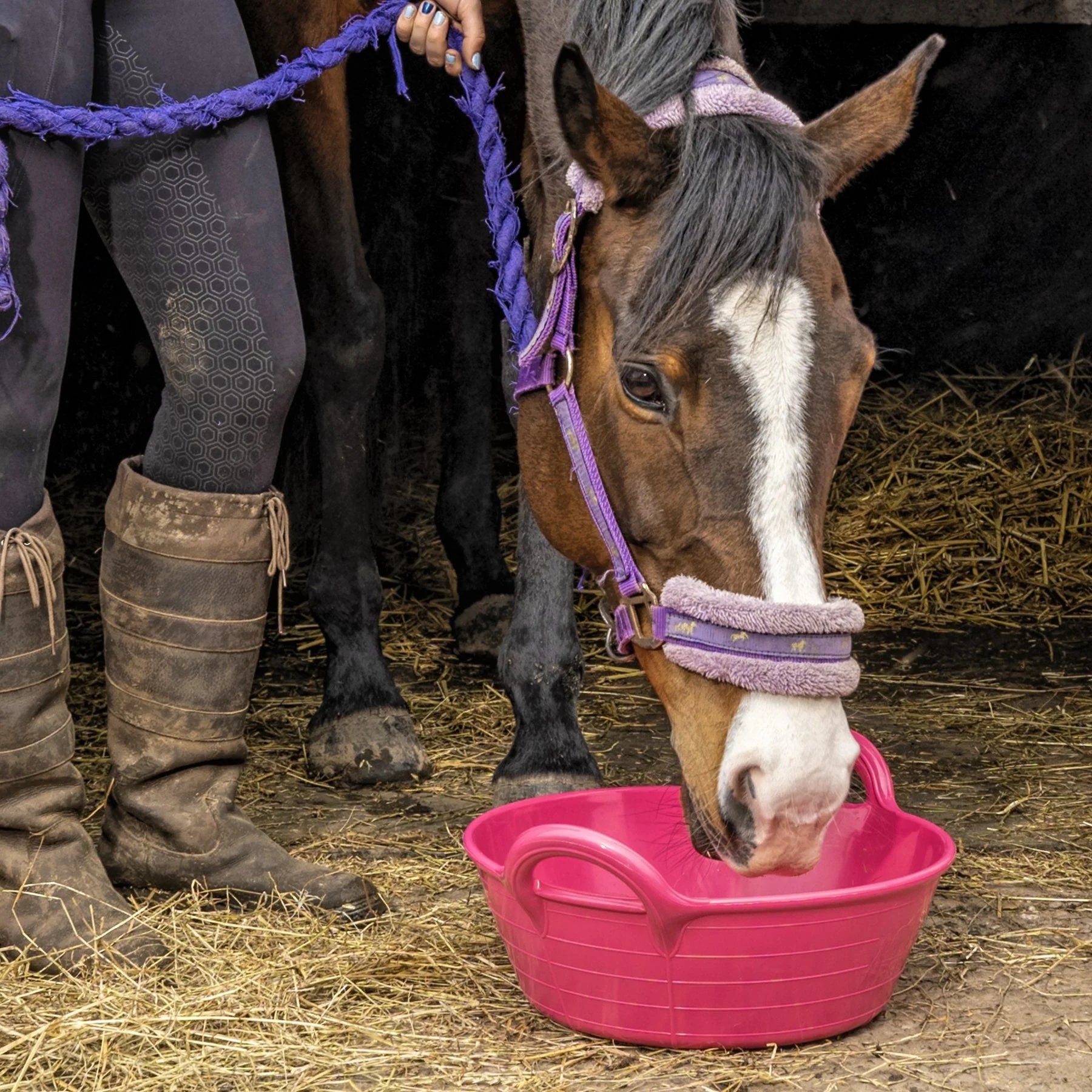 (3 for 2) Gorilla® Plas S1 Small Feed Skip 11L – Red Feed skip for horses