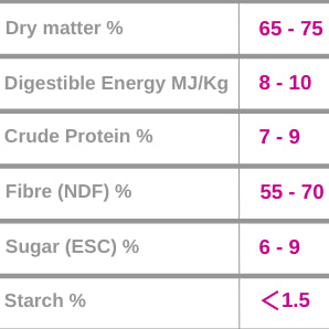 Burlybale High Fibre Haylage – Pink