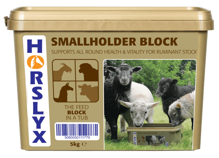 Horslyx Smallholder Block 5kg (May Vary)