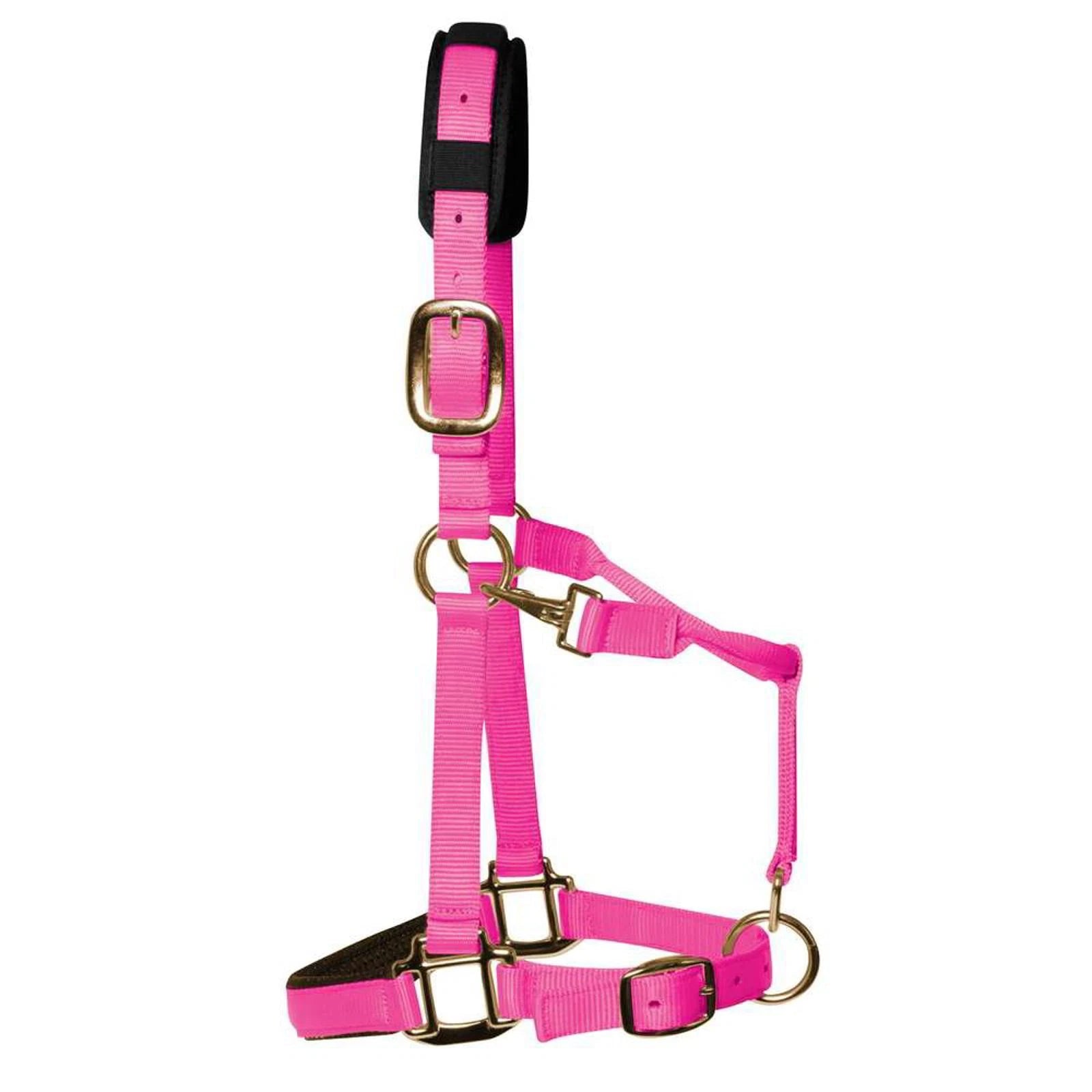 KM Elite Luxury Padded Headcollar & Lead Rope – Hot Pink XXS