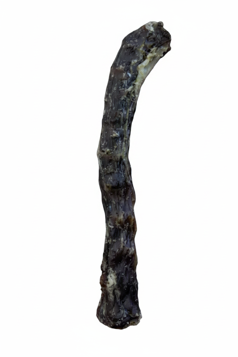 Duck neck dog chew on white background