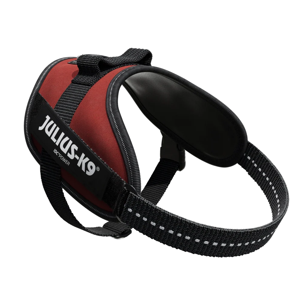 JULIUS-K9 IDC® Powerharness – Red Adjustable Dog Harness Size 2